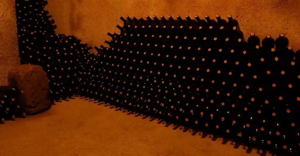 AnyConv.com__slide vino 5